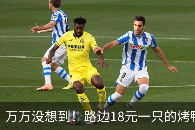 万万没想到！路边18元一只的烤鸭，用的居然是这种鸭子，能吃吗？